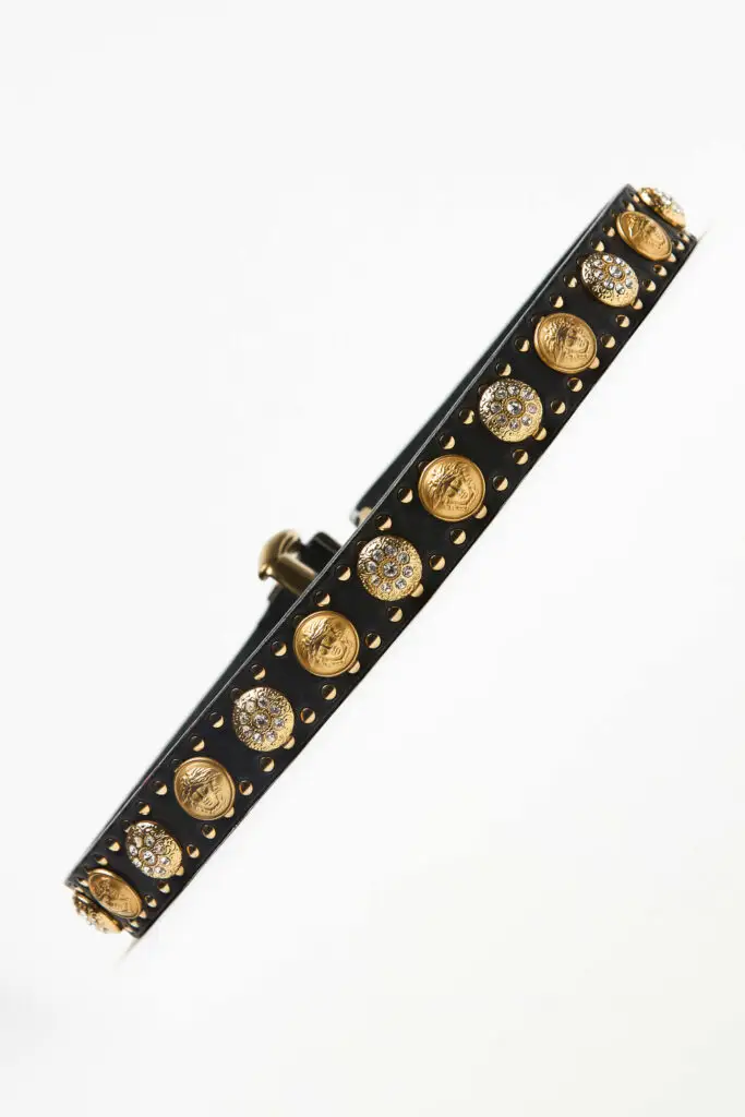 Medusa Belt