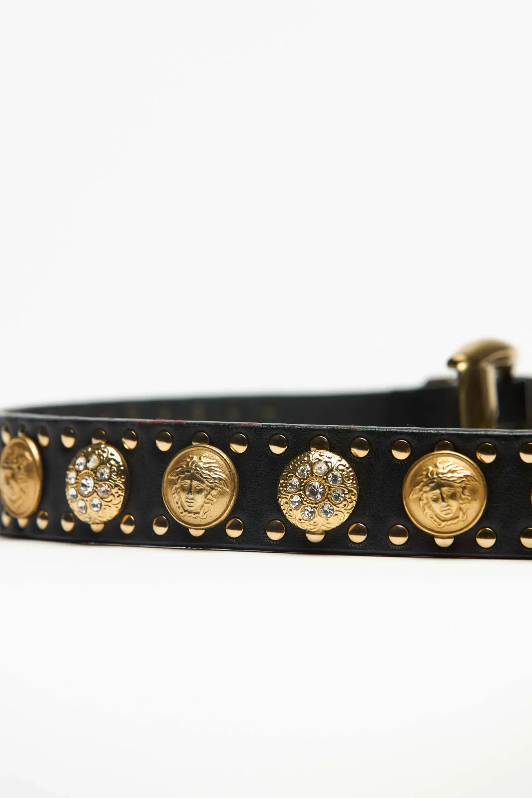 Medusa Belt 5 Medusa Belt