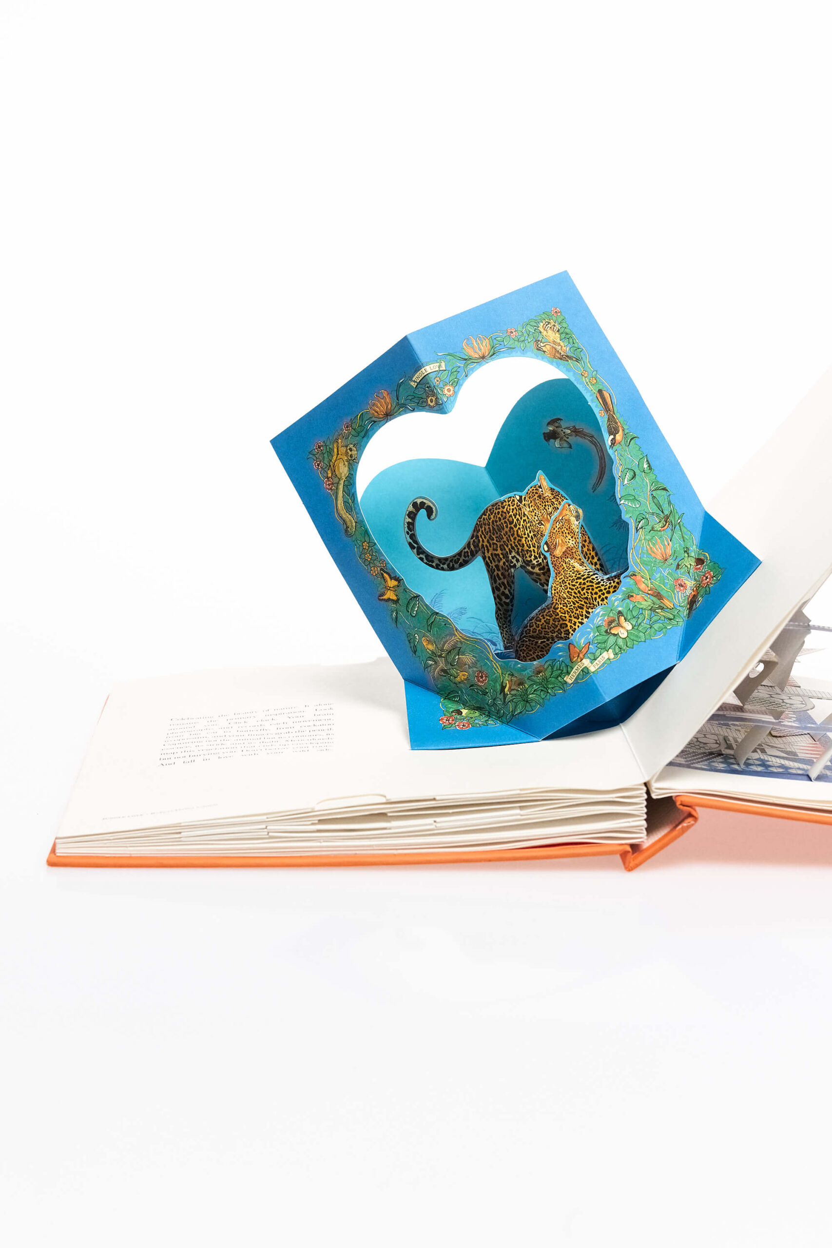 Pop-Up Book Collectible Art Edition 5 Pop-Up Book Collectible Art Edition